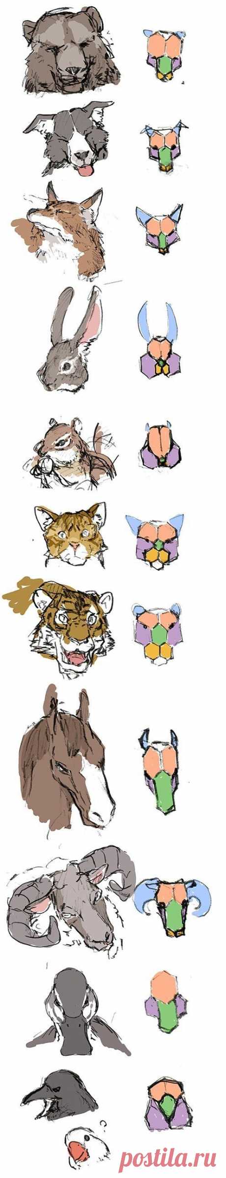 Рисунок. Морды зверей.