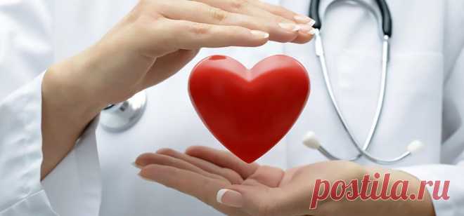 Шесть признаков, говорящих о том, что сердце может работать неправильно — Барановичи. Intex-press — Новости Барановичского региона