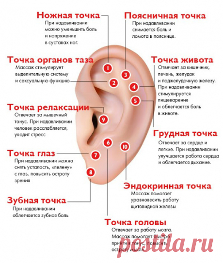 Упражнения для ушей
