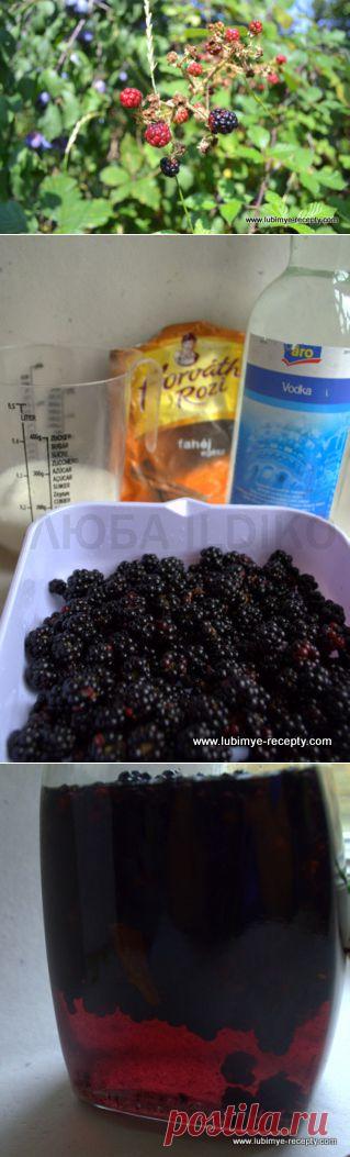 Ежевичный ликёр | 4vkusa.ru