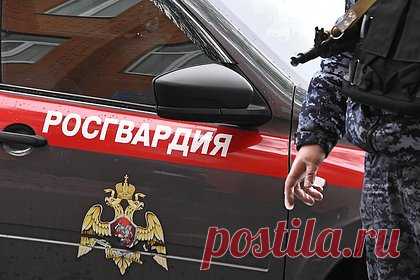 Росгвардейцы увезли из леса отшельника с грибами