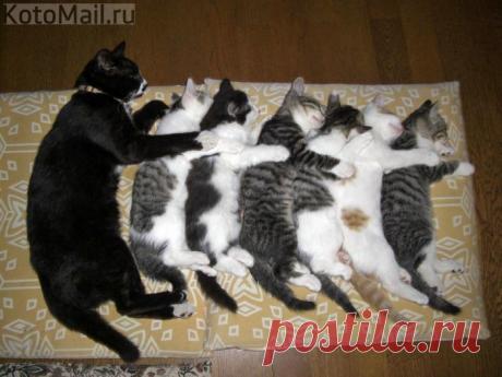 Наша мама занималась синхронным спаньём и нас учит!