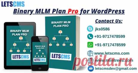 LetsCms Pvt. Ltd. has introduced the Pro version of Binary MLM Plan with all pro features &amp; services. Multi-level Marketing is a simple and efficient way of earning unlimited by investing a small capital and Binary MLM Plan Pro is the door to your success. LetsCms Pvt Ltd. presents a new product for Multi-Level Marketing business by introducing a WordPress plugin of Binary MLM Plan Pro. LetsCms offers you to purchase its web software and all related services at affordable prices.