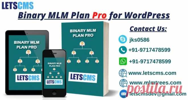 LetsCms Pvt. Ltd. has introduced the Pro version of Binary MLM Plan with all pro features & services. Multi-level Marketing is a simple and efficient way of earning unlimited by investing a small capital and Binary MLM Plan Pro is the door to your success. LetsCms Pvt Ltd. presents a new product for Multi-Level Marketing business by introducing a WordPress plugin of Binary MLM Plan Pro. LetsCms offers you to purchase its web software and all related services at affordable prices.