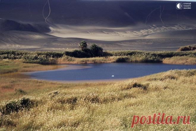 Оазис в пустыне Ливии - Путешествуем вместе