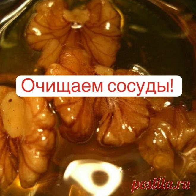 Очищение сослужат головного мозга. | Секреты Долголетия | Яндекс Дзен