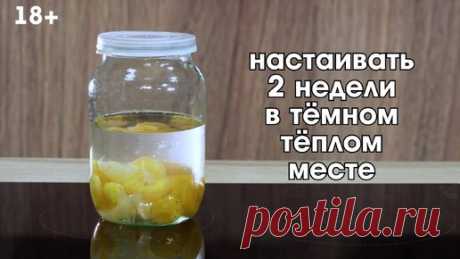 Лимонный Курагач - очень вкусная настойка на кураге с лимоном. Настоятельно рекомендую | Смотритель погреба | Дзен