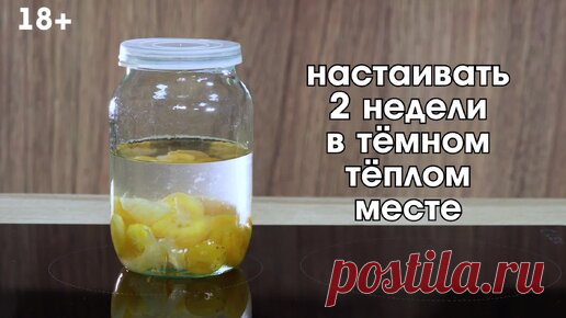 Лимонный Курагач - очень вкусная настойка на кураге с лимоном. Настоятельно рекомендую | Смотритель погреба | Дзен