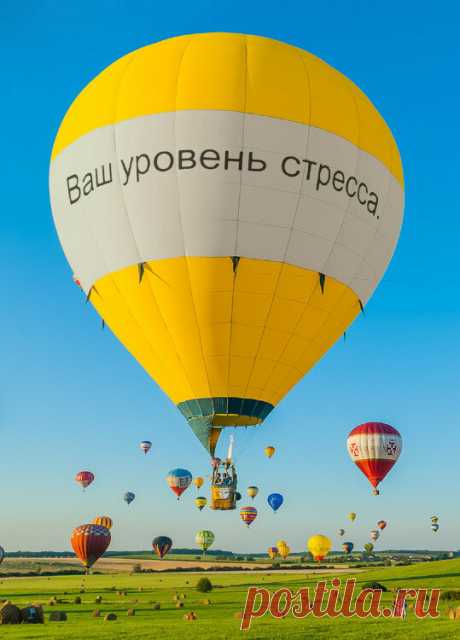 Хотите узнать свой уровень напряженности? Тест на стресс | Финансы и аналитика в ИТ-сфере | Яндекс Дзен