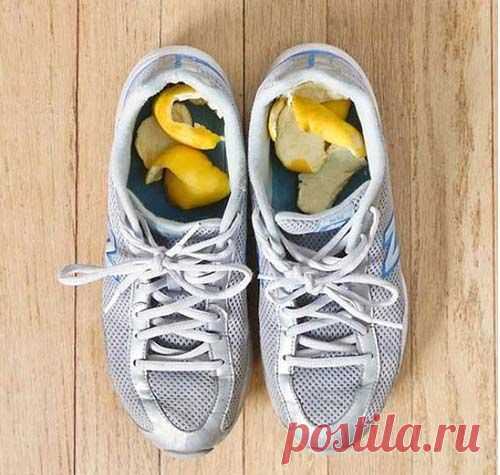 7 копеечных способов избавиться от запаха из обуви | Народные знания | Яндекс Дзен