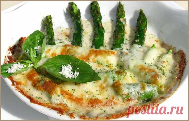 Спаржа Горгонзола (Asparagus Gorgonzola), рецепт спаржи с фото, как приготовить спаржу - Пивной ресторан Бургомистр в центре Москвы