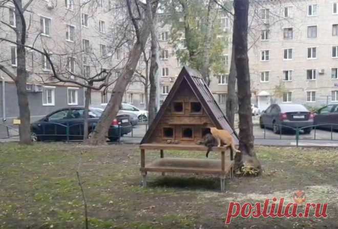 (1) Т.А.! Привет!, http://ansoli.prodered.org.ru... Т.А. Колесникова - Мой Мир@Mail.ru