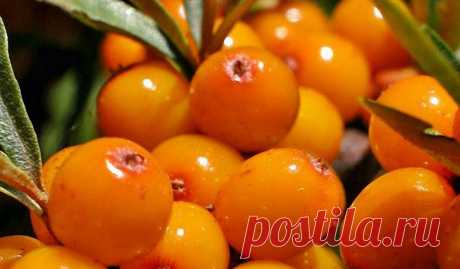 Vitaminas para perda de cabelo. Discussão sobre LiveInternet - Russian Online Diary Service