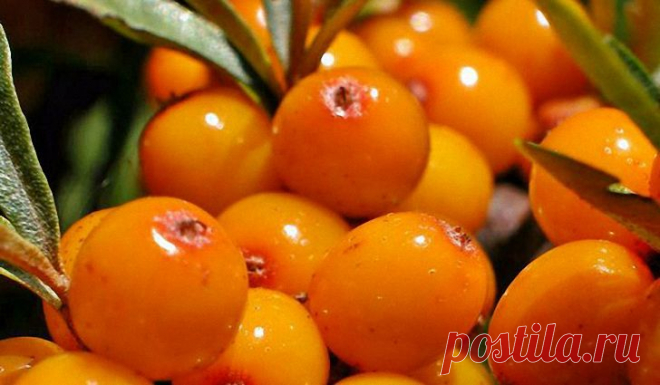 Vitaminas para perda de cabelo. Discussão sobre LiveInternet - Russian Online Diary Service