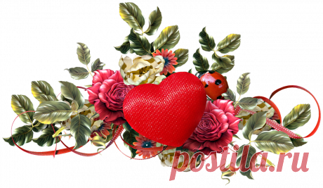 разные красивые детали на прозрачном фоне: 19 тыс изображений найдено в Яндекс.Картинках