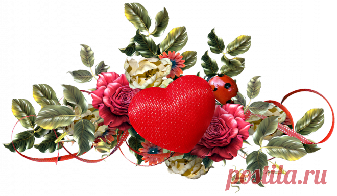 разные красивые детали на прозрачном фоне: 19 тыс изображений найдено в Яндекс.Картинках