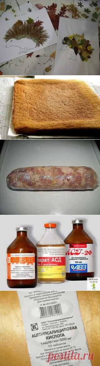 ПОЛЕЗНЫЕ  СОВЕТЫ