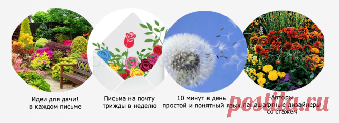 Доступно - [Ландшафтный дизайн для занятых] Красивая дача за 10 минут в день | Складчина