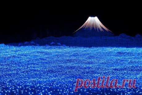 Туннель Света  / Взлом логики