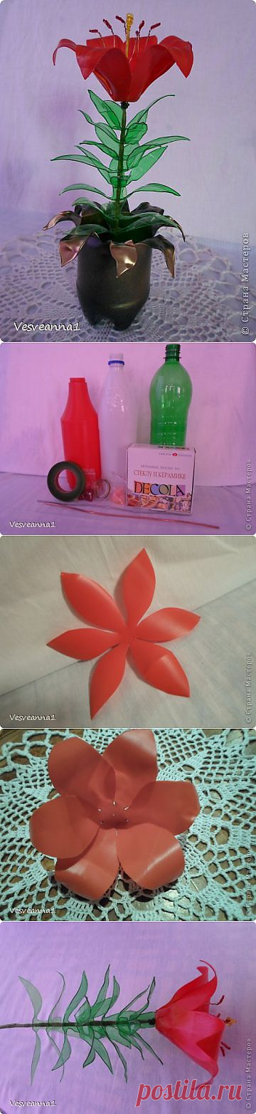 Дневник Sibstar