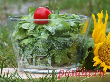 Простой салат из зелени / Овощные салаты / TVCook: пошаговые рецепты с фото