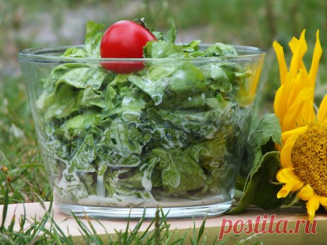 Простой салат из зелени / Овощные салаты / TVCook: пошаговые рецепты с фото