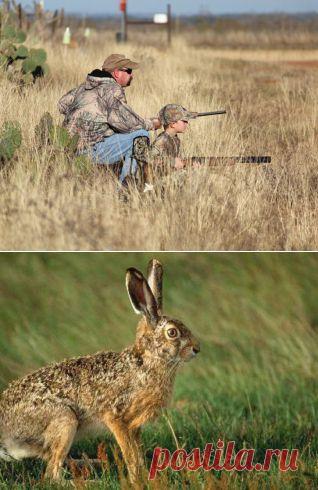 ​Мои первые шаги на охоте! прикормка, оснастка, ловля, удочка, наживка, рыболов, водоем, рыба, рыба, крючок, черви, хобби, увлечение, озеро, поездка, речка, лодка, отдых, занятие, река, страсть, снаряжение, клев, улов, увлекаться, клевать, купаться, ловить, рыбная ловля, снасть, вываживание, подсечка, добыча, леска,снасти, крючок, грузило, лов, удила