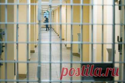 Четверо россиян получили от 10 до 20 лет колонии за убийство 16-летней девушки. В Красноярске четырех фигурантов в возрасте от 19 до 23 лет осудили за убийство 16-летней девушки, насильственные действия сексуального характера, грабеж, угрозы убийством, истязание и похищение человека. Троим молодым людям назначили сроки от 17 до 20 лет колонии строгого режима, их сообщницу осудили на 10 лет.