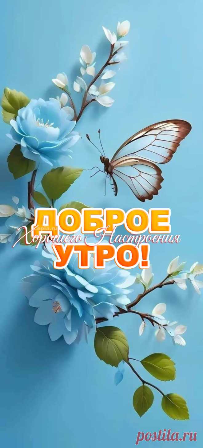 😃 С Добрым Утром! 900+новых картинок с красивыми позитивными пожеланиями