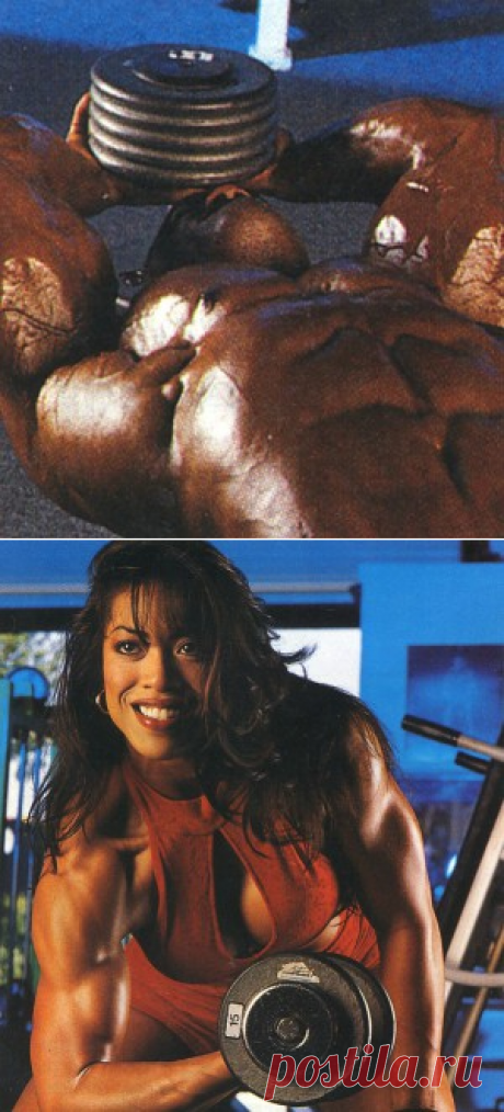 20 мифов о том, как накачать мышцы