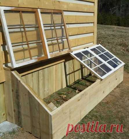 Какой парник лучше? Выбираем оптимальный тип.