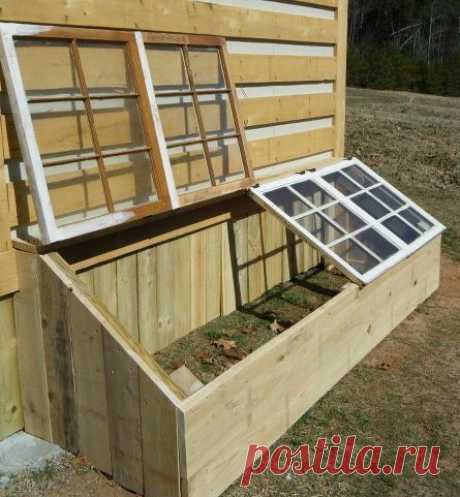 Какой парник лучше? Выбираем оптимальный тип.