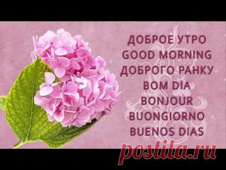 🌞Доброе утро!🌞Анимационная открытка #WhatsApp - YouTube