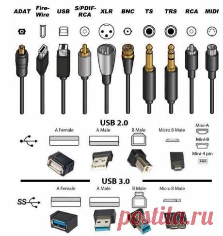 Как называются штекеры.