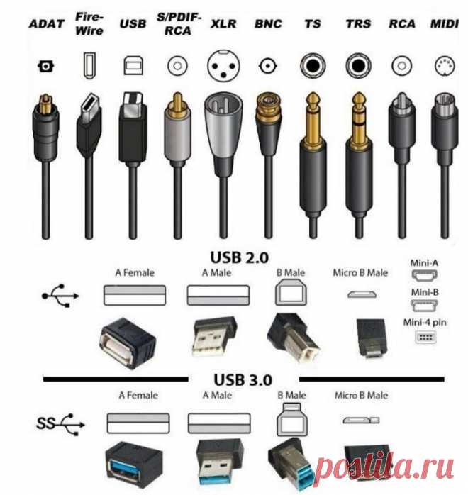 Как называются штекеры.