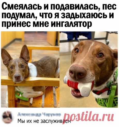 Дзен