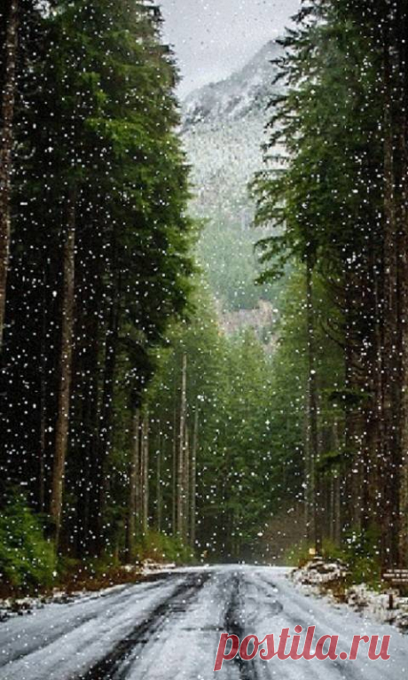 Winter wallpaper by rosemaria