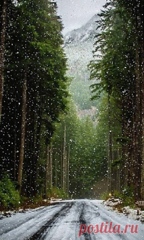Winter wallpaper by rosemaria