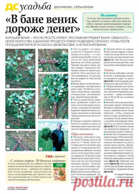В бане веник дороже денег