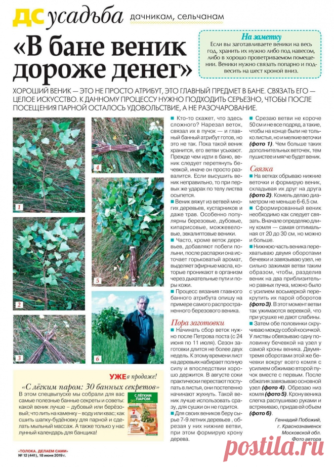 В бане веник дороже денег
