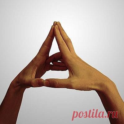 ღМУДРА "ПАРЯЩИЙ ЛОТОС" Показания: при заболевании женской половой сферы (воспалительных процессах), а также при заболеваниях полых органов (матка, желудок, кишечник, желчный пузырь).