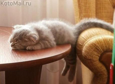 Вот проснусь и дозалезу...