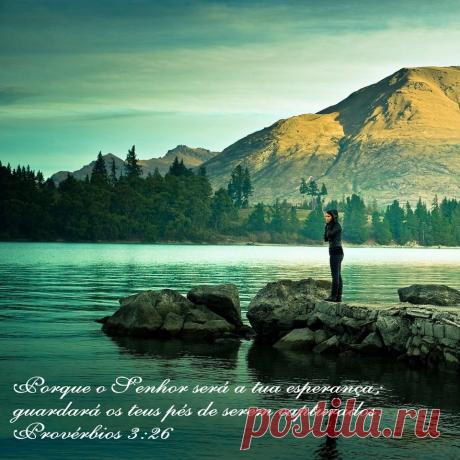 *Нас всегда окружают возможности,которые могут принести нам большую выгоду,если только нам удасться их распознать и ухватиться за них...*                                                                                                           П.Гетти.