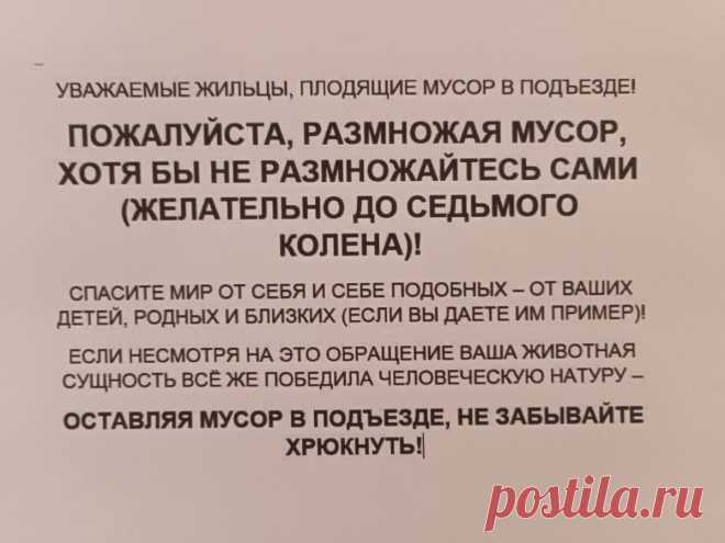 Крик отчаяния или завуалированное проклятие! Новостройка- довольно интересная… | Киномнение | Дзен