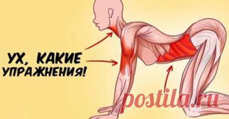 (86) Сатубалдина Светлана