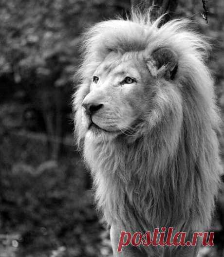 Смелость состоит в готовности испытать страх, но действовать несмотря на это. / Восприятие бизнеса