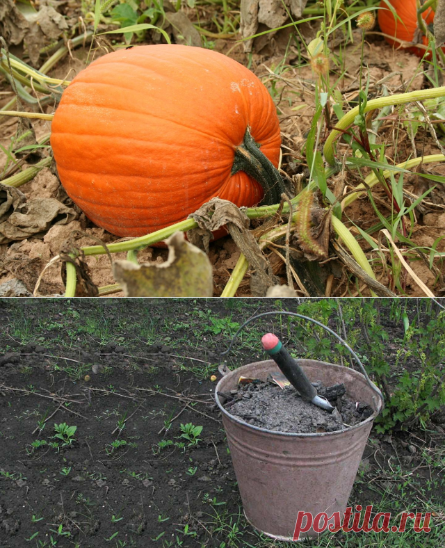 (80) Одноклассники