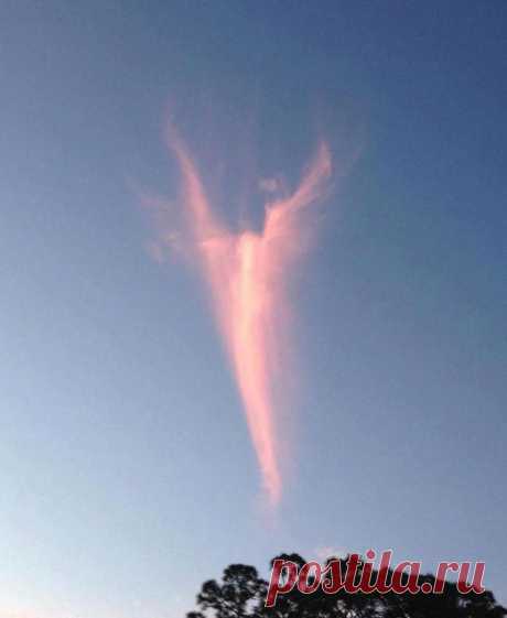 Удивительные облака, принимающие невероятные формы / Всё самое лучшее из интернета