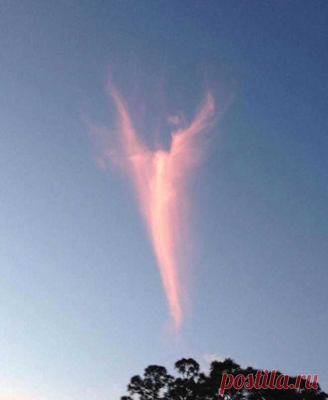 Удивительные облака, принимающие невероятные формы / Всё самое лучшее из интернета