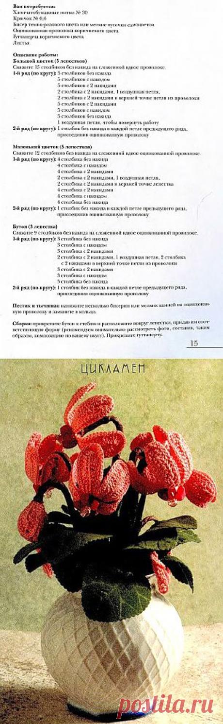 .Цикламен в вазе: Дневник группы «ВЯЗАНЫЕ ЦВЕТЫ»: Группы - женская социальная сеть myJulia.ru